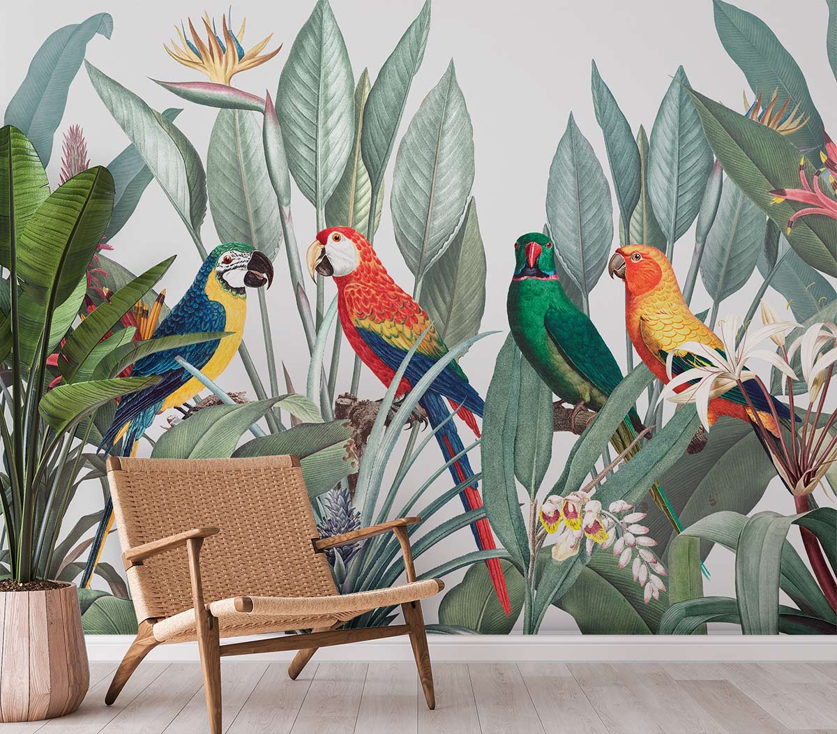 Tropical parrot mural wallpaper with botanical design, wicker chair, wooden flooring, living room setting.