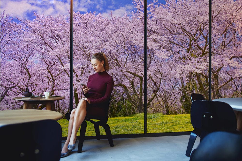 Elegant Cherry Blossom Mural Wallpaper in relaxed café setting with modern chairs and round tables.