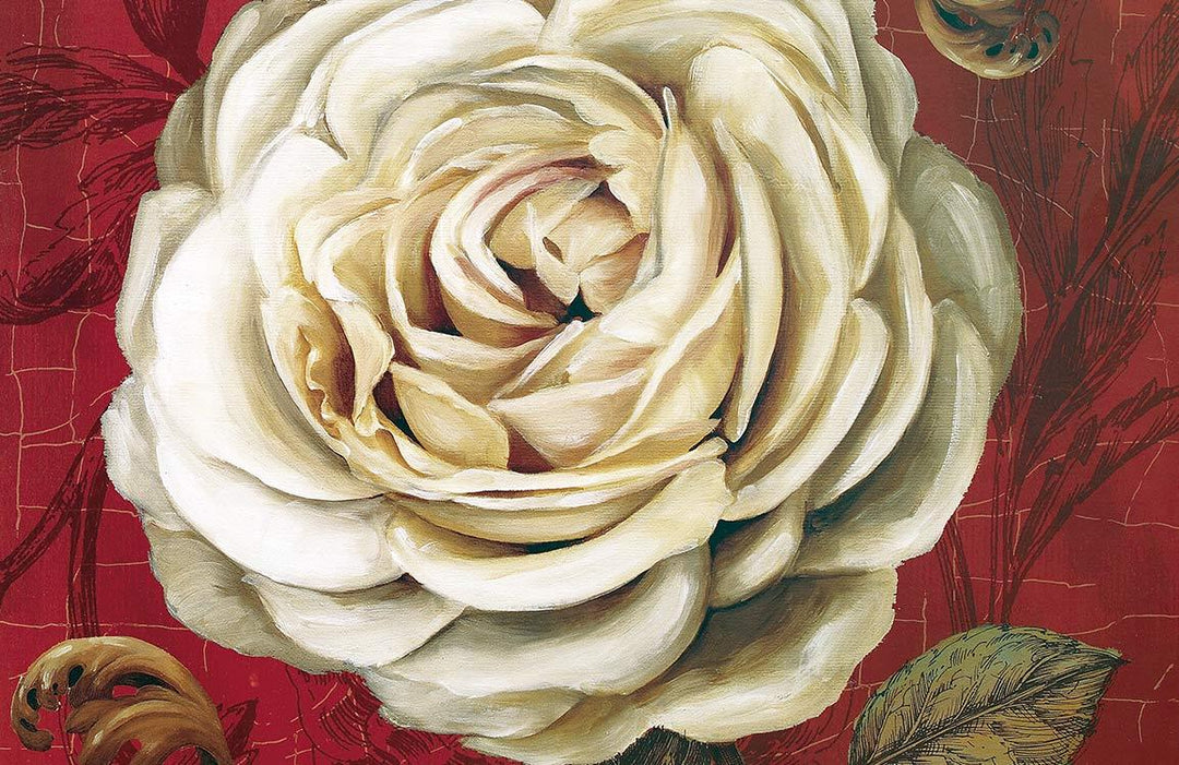 Vintage Botanical White Rose Mural Wallpaper with Rich Burgundy Background