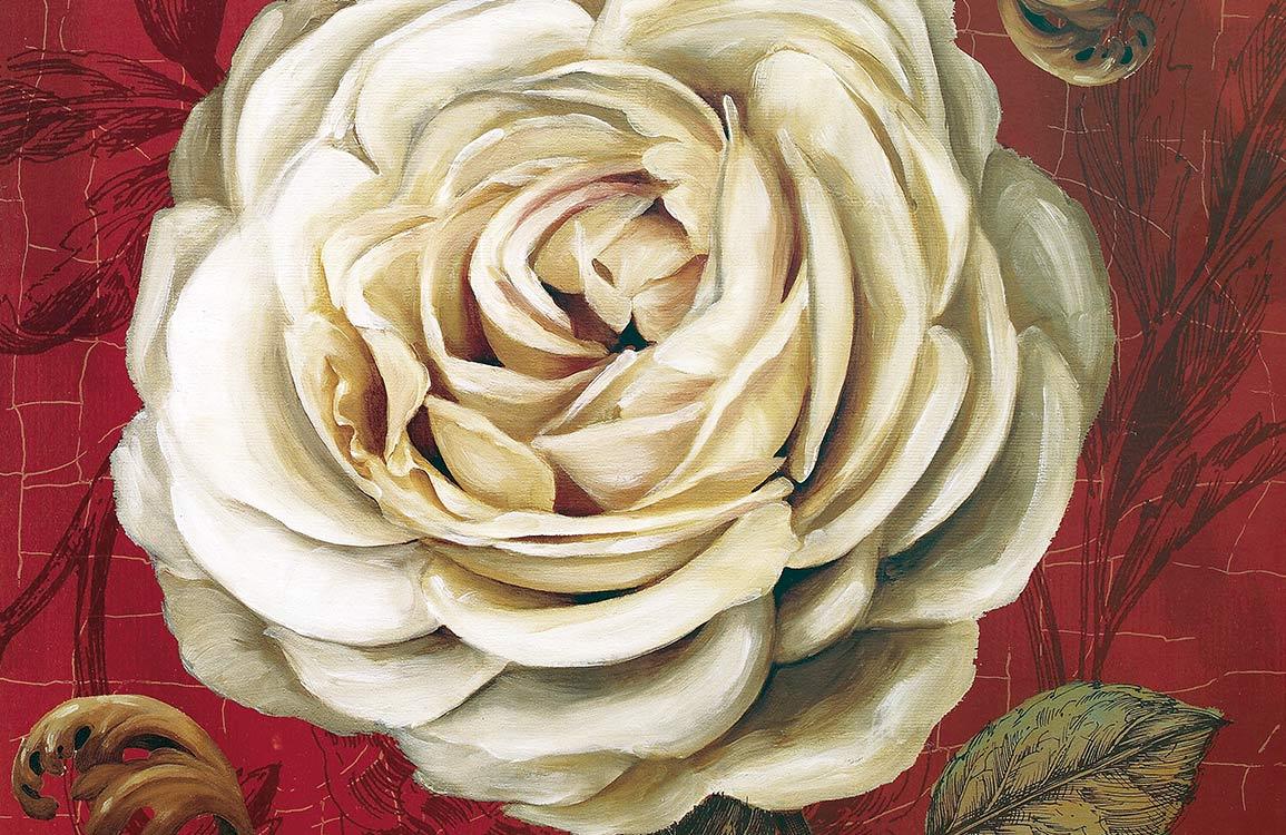 Vintage Botanical White Rose Mural Wallpaper with Rich Burgundy Background