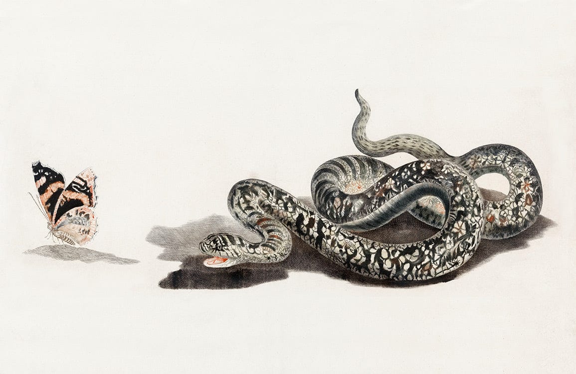 Vintage Nature-Inspired Snake and Butterfly Mural Wallpaper in Neutral Tones