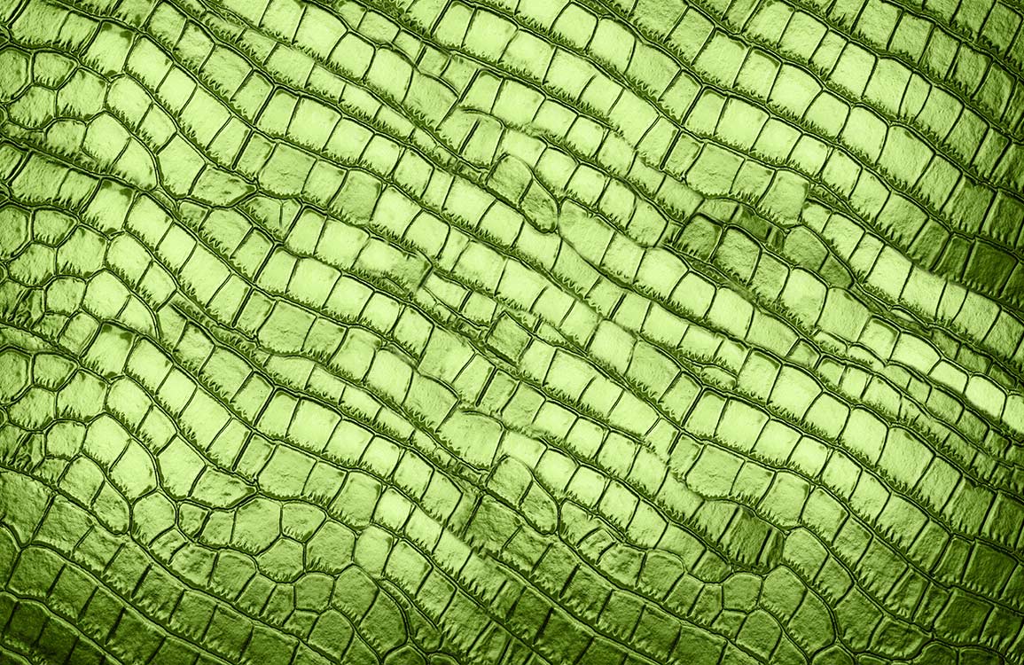 Green Textured Reptile Skin Effect Wall Mural Wallpaper, Nature-Inspired Design