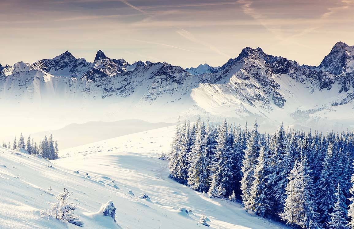 Serene Winter Mountain Landscape Mural Wallpaper in Cool Tones, Natural Scenic Design