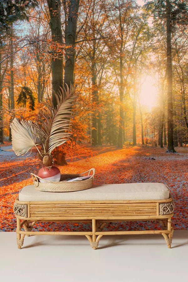 Autumn sunrise mural wallpaper with golden leaves, rustic bench, and hardwood floor in living room.