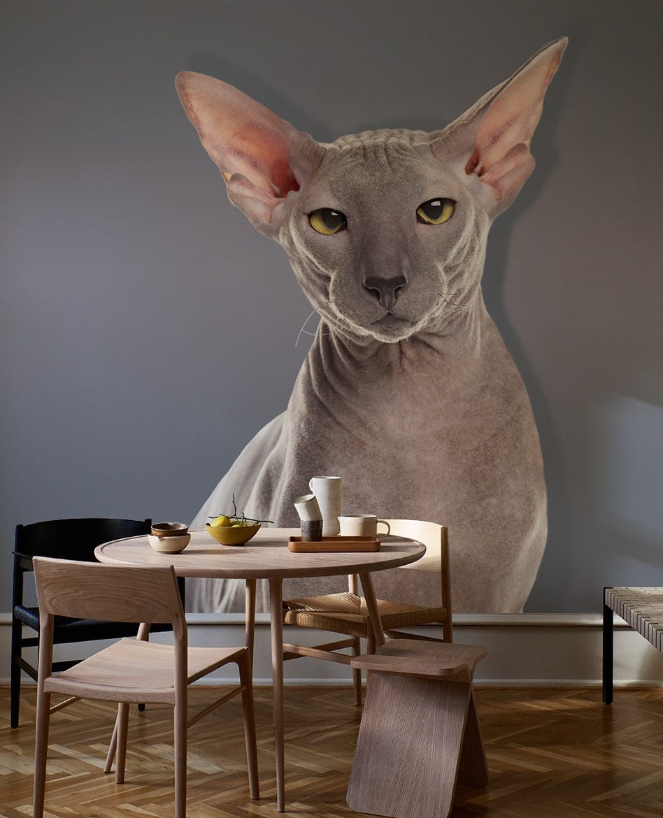 Modern Grey Sphynx Cat Wallpaper in stylish dining room with wooden furniture and parquet flooring.