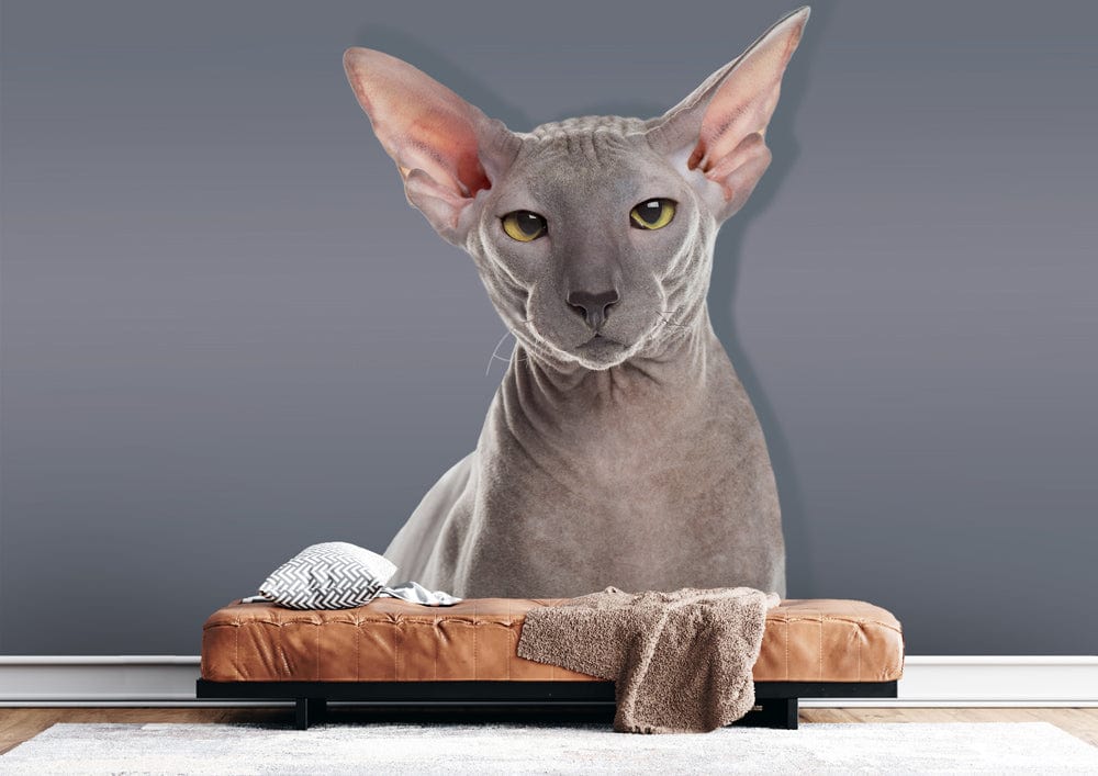 Modern grey Sphynx cat wallpaper behind brown sofa, minimalistic design, wooden flooring, elegant style.