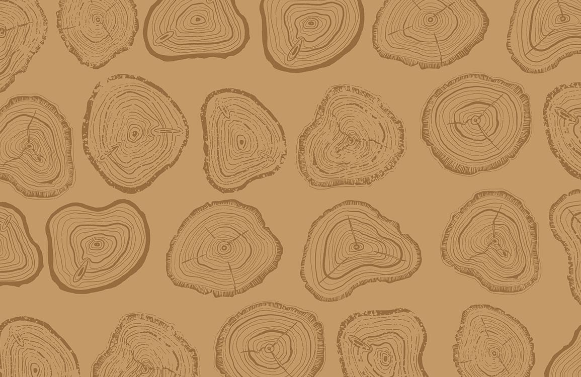 Eco-Chic Brown Timber Woodgrain Pattern Wallpaper for Modern Interiors