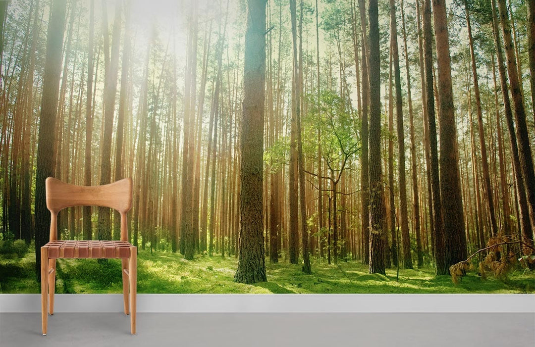 Serene Sunlit Forest Mural Wallpaper featuring lush greenery, wooden chair, grey flooring, nature-inspired decor.