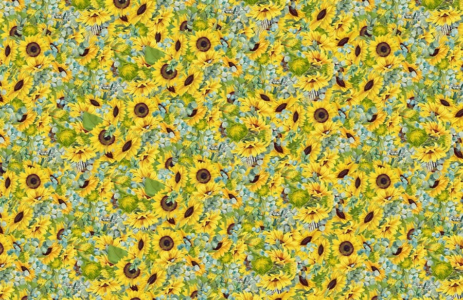 Sunflower Wallpaper Mural