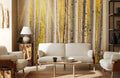 Sunshine Birch Forest Wallpaper Mural
