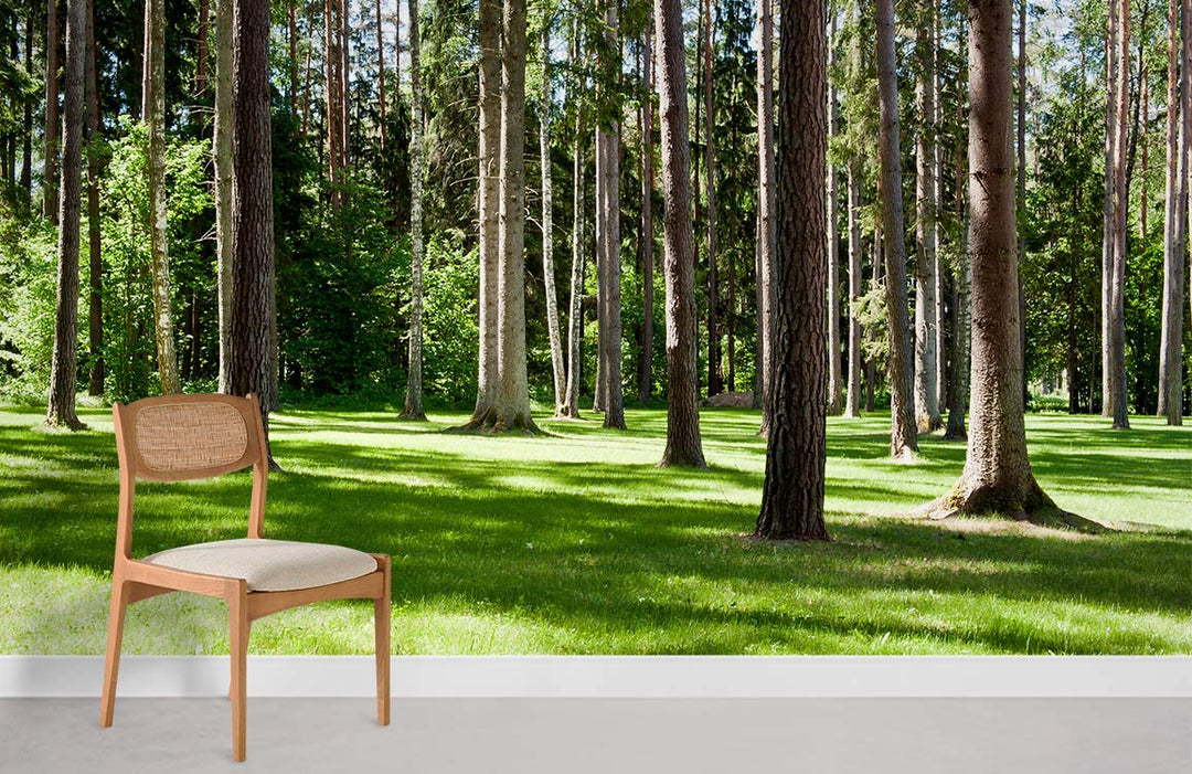 Serene Forest Mural Wallpaper with chair; lush green woodland design; light grey flooring; wooden furniture.