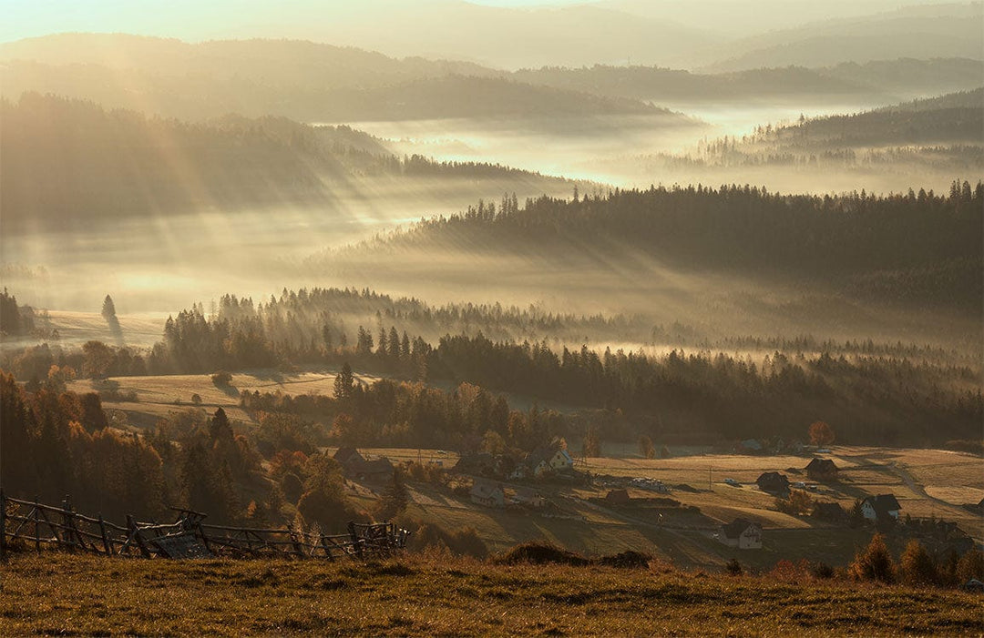 Golden Sunrise Misty Valley Landscape Mural Wallpaper - Tranquil Natural Beauty Decor