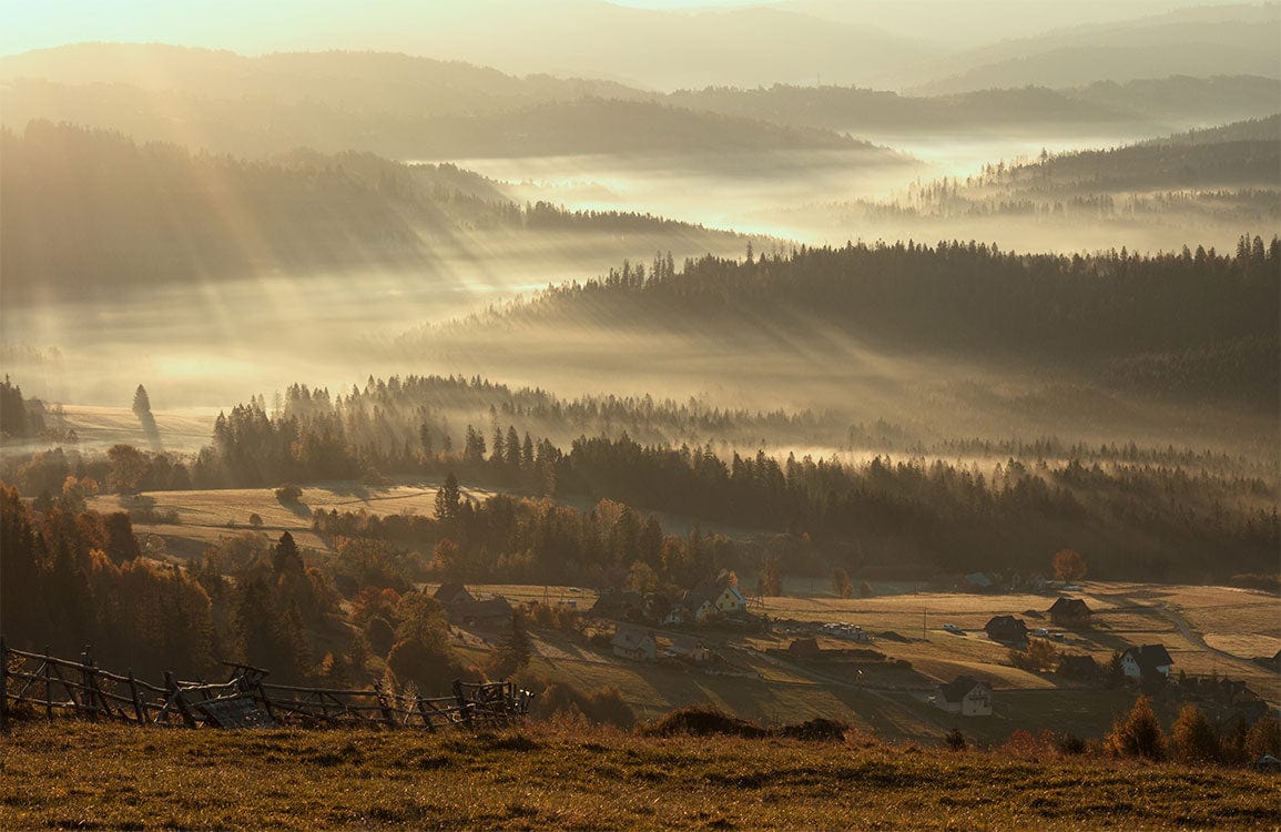 Golden Sunrise Misty Valley Landscape Mural Wallpaper - Tranquil Natural Beauty Decor