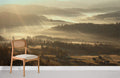 Sunshine Forest Wallpaper Mural