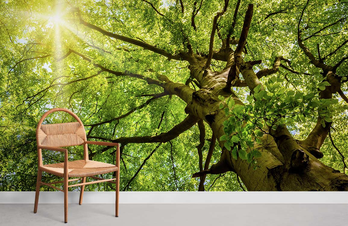 Sunlit Forest Canopy Mural Wallpaper, lush green scene, wooden chair, grey flooring, bright room.