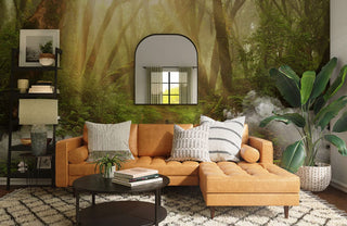 Sunshine in Forest Wallpaper Mural