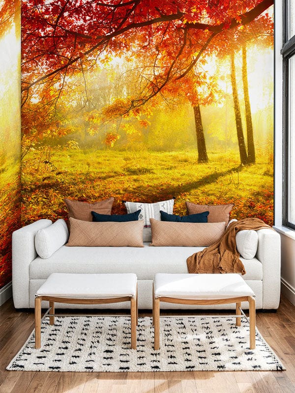 Sunlit Autumn Forest Mural Wallpaper, cosy beige sofa, wooden flooring, bright living room decor.