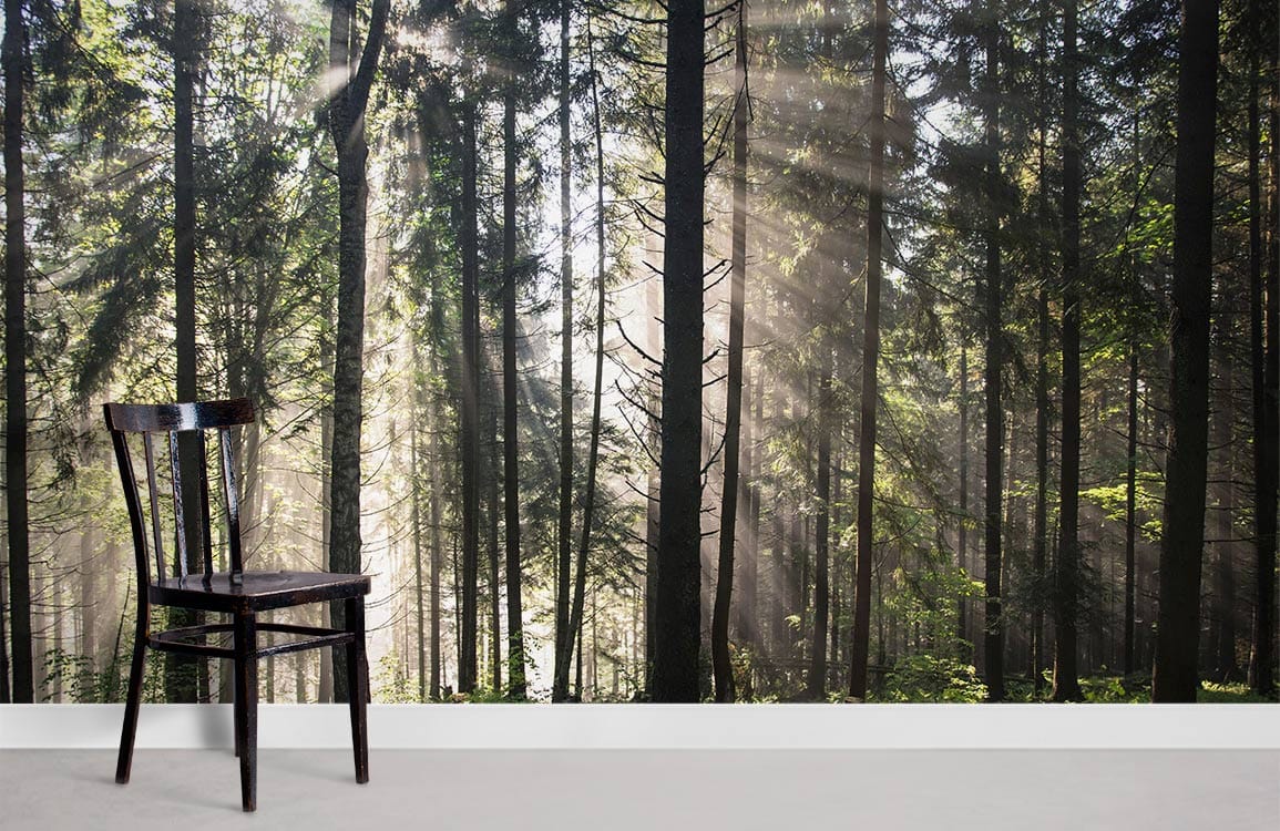 Mystical Forest Sunrise Nature Mural Wallpaper in Green and Brown with wooden chair on grey flooring.
