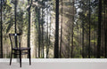 Sunshine Through Forest Wallpaper Mural