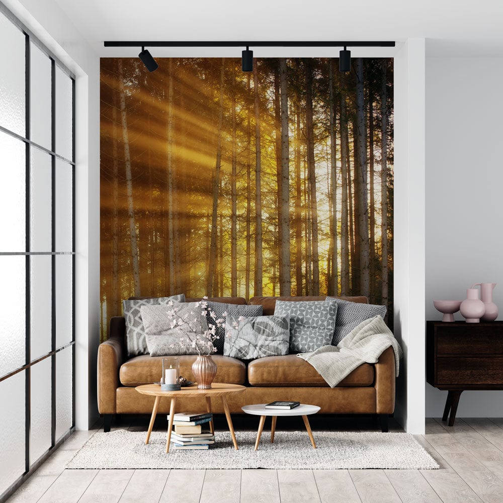 Sunlit Forest Serenity Mural Wallpaper with brown sofa, white walls, grey rug, and wooden side table.