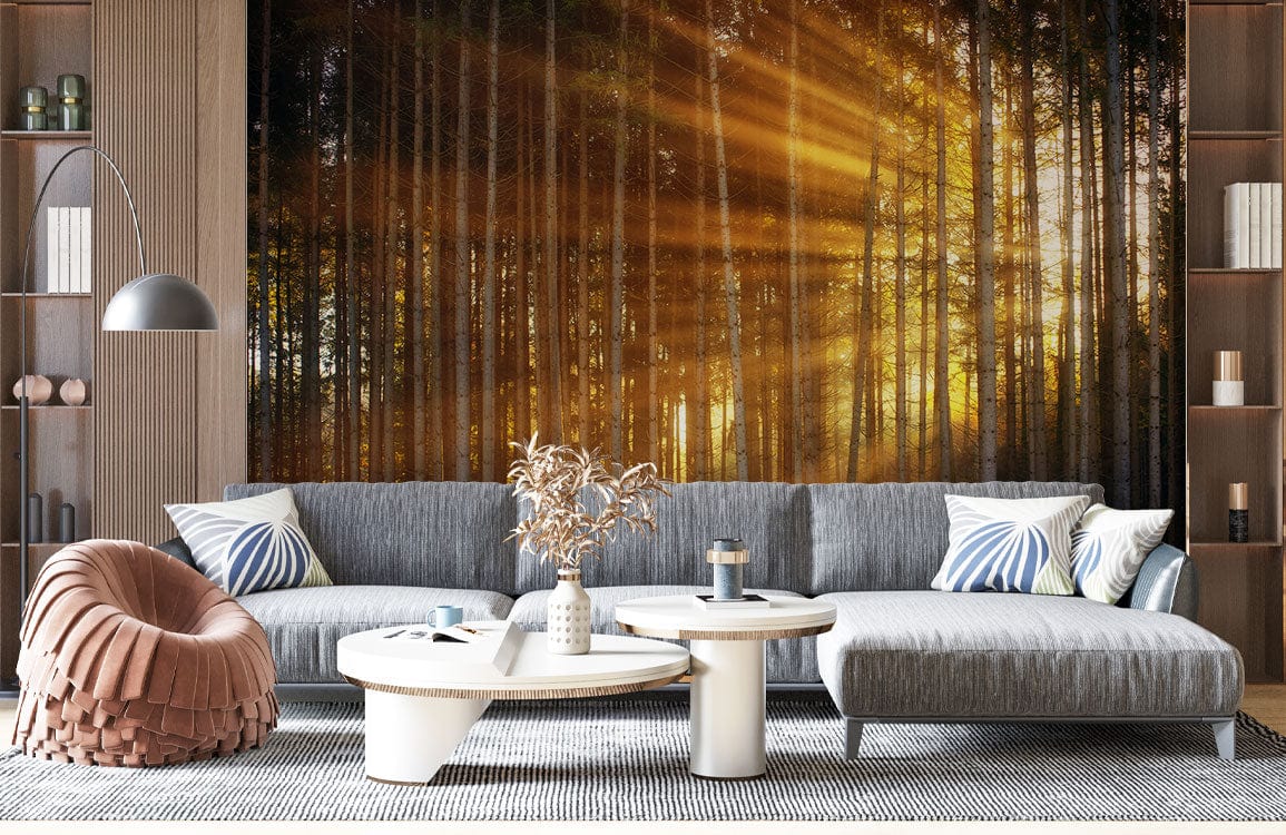 Sunshine through Slander Forest Wallpaper Mural