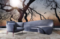 Sunshine through Twigs Wallpaper Mural