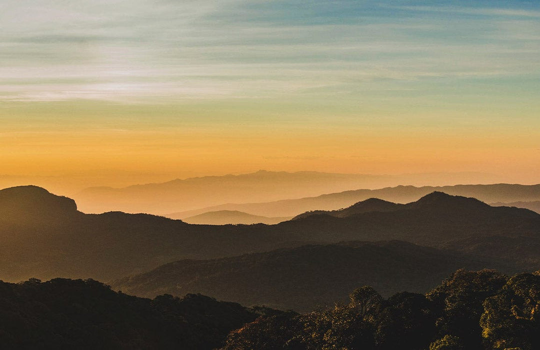 Golden Sunset Mountain Landscape Mural Wallpaper - Serene Nature Decor Art