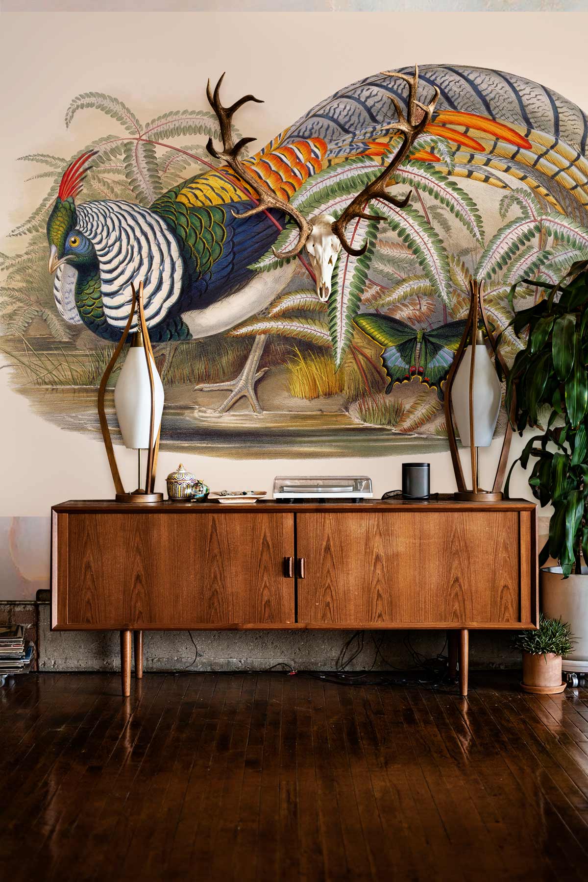 Tropical Paradise Bird and Butterfly mural wallpaper in vintage style, wooden sideboard, hardwood flooring.