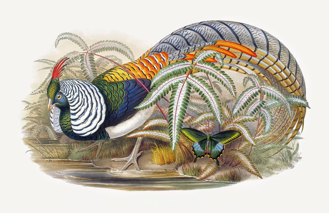 Tropical Paradise Bird and Butterfly Vintage Art Mural Wallpaper Design