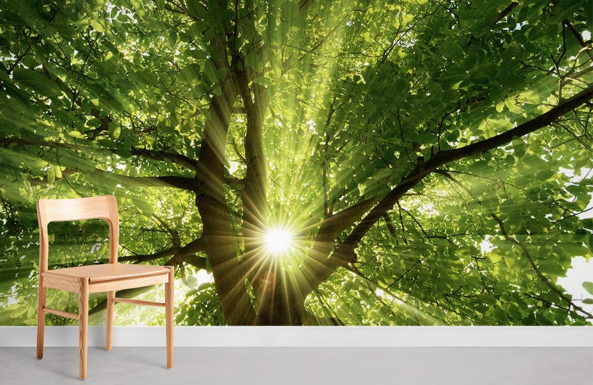 Bright green nature tree mural with sunlit canopy wallpaper, light wood chair, grey floor, serene space.