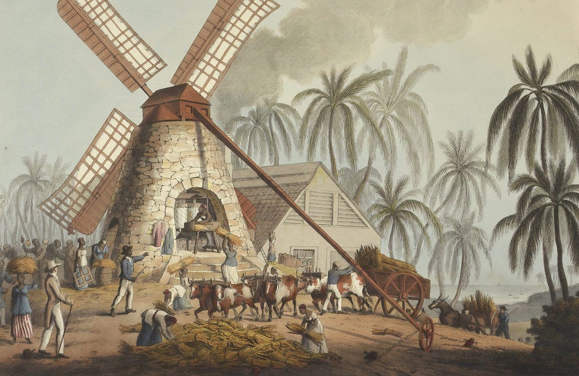 Vintage Windmill Tropical Scene Mural Wallpaper - Historic Landscape Design