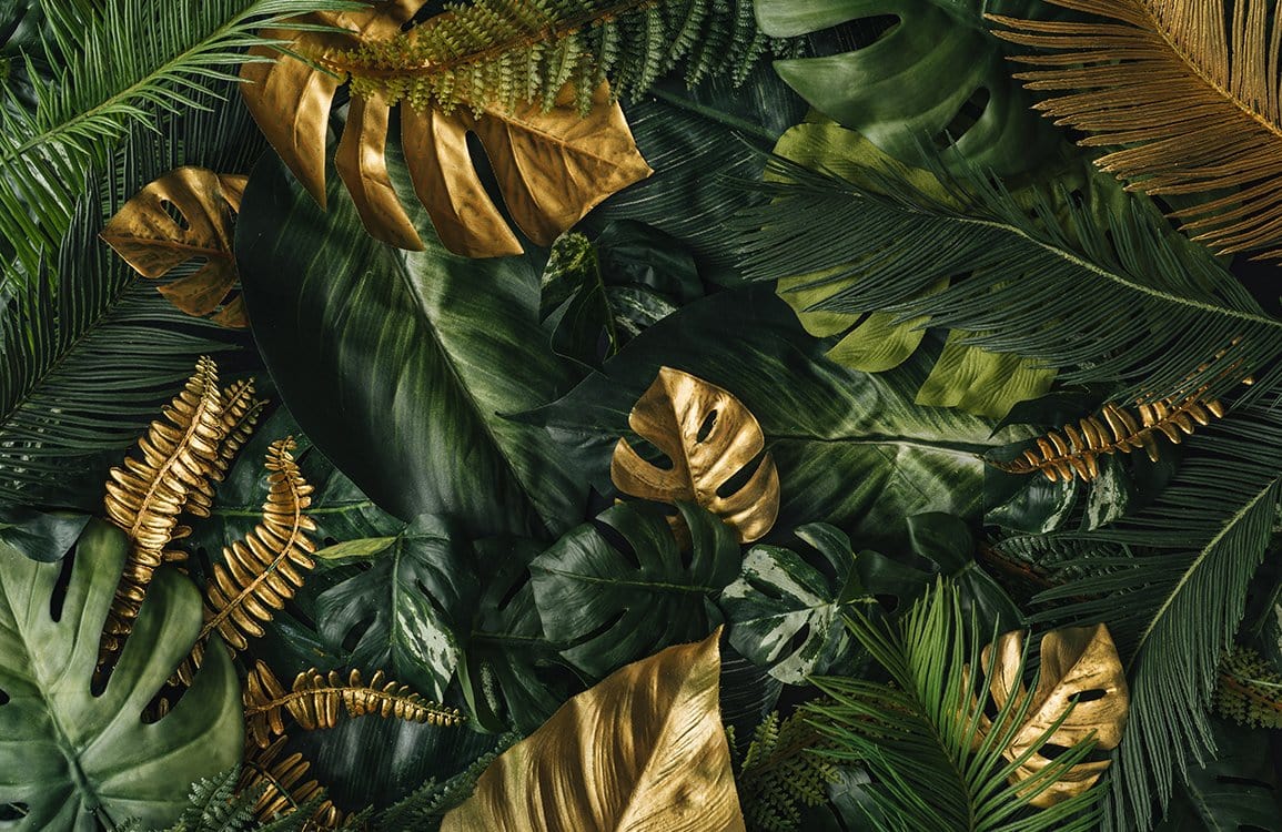 Tropical Leaves Wallpaper Mural