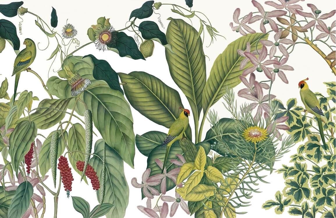 Tropical Green Botanical Jungle Mural Wallpaper with Exotic Birds Design