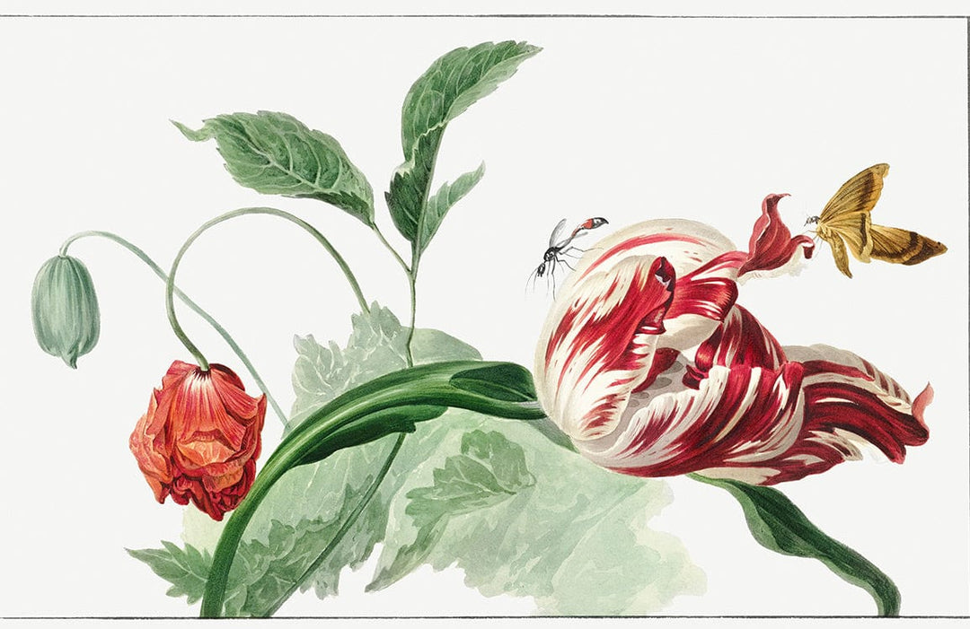 Vintage Botanical Floral Wallpaper Mural with Red and Green Accents
