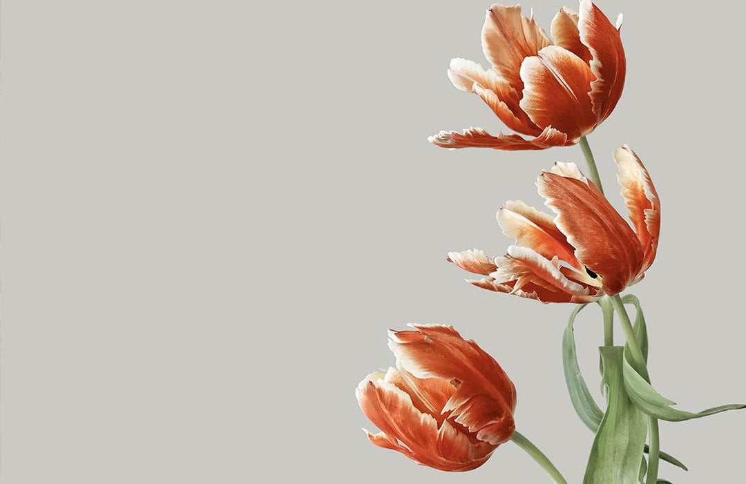 Elegant Vintage Tulip Design Mural Wallpaper in Soft Orange and Green