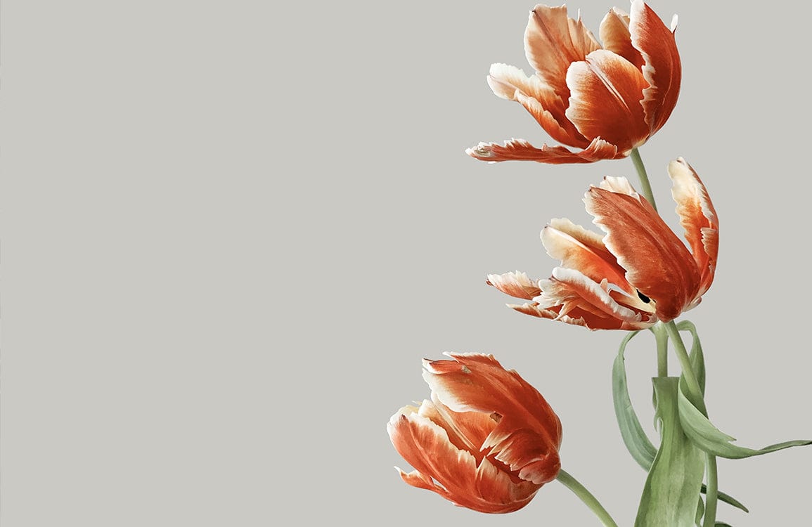 Elegant Vintage Tulip Design Mural Wallpaper in Soft Orange and Green