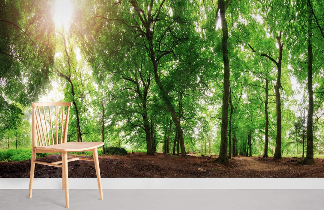 Woodland Retreat Green Forest Mural, wooden chair, grey floor, relaxing space wall decor.