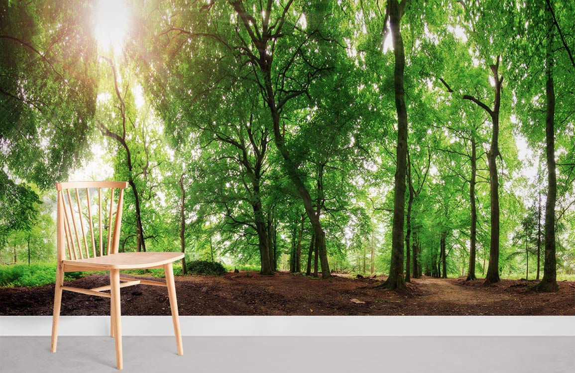 Twisty Trees Wallpaper Mural
