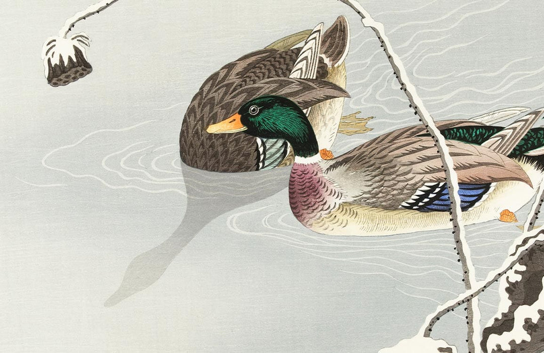 Elegant Vintage Duck Design Watercolour Nature Mural Wallpaper in Soft Tones