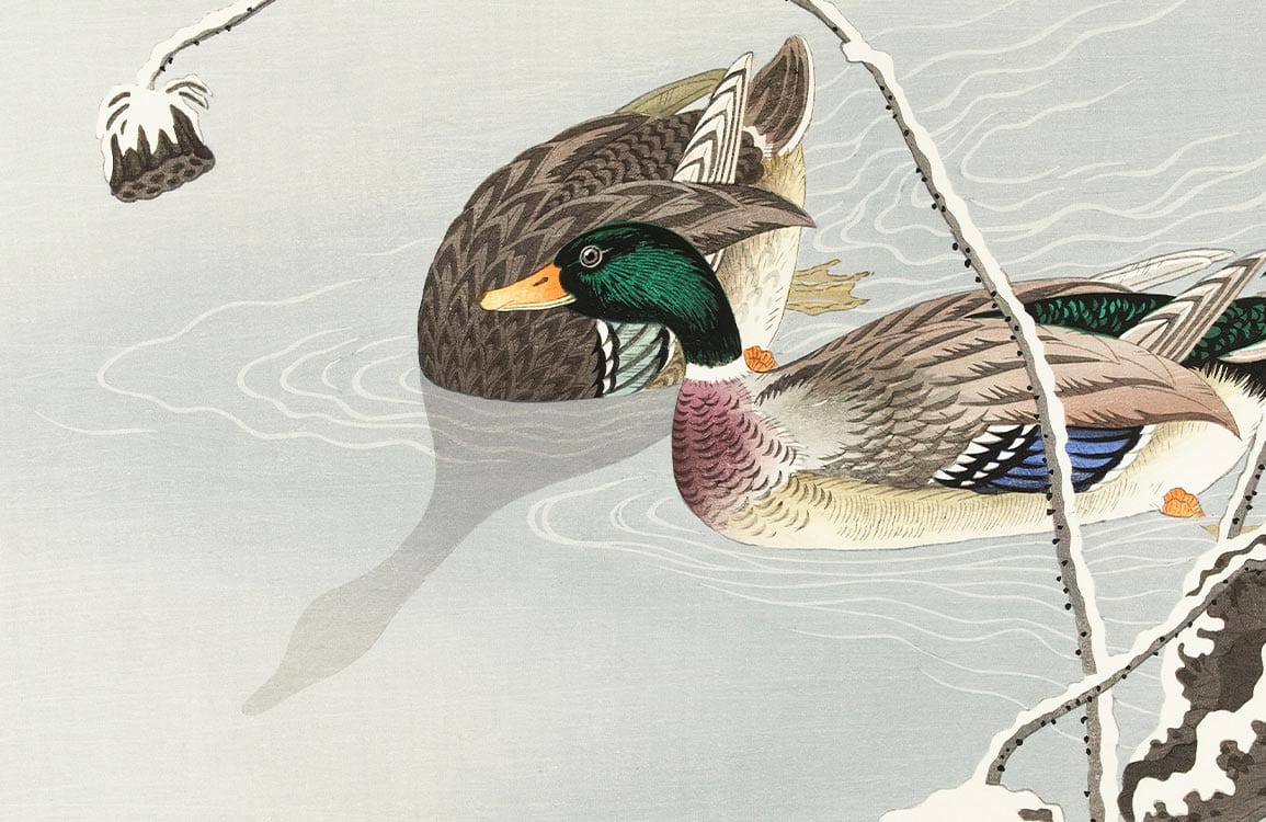 Elegant Vintage Duck Design Watercolour Nature Mural Wallpaper in Soft Tones