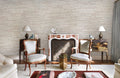 Mildew Texture Wallpaper Mural