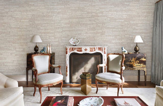 Mildew Texture Wallpaper Mural