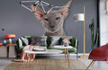 Sphynx Cat Wallpaper Mural