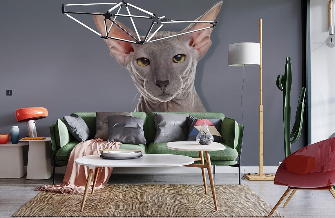 Modern grey Sphynx cat wallpaper with green sofa, grey walls, wooden flooring, and unique decor elements.