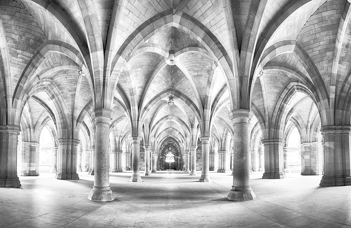 Elegant Gothic Architecture Monochrome Mural Wallpaper - Historic Vaulted Arches Design