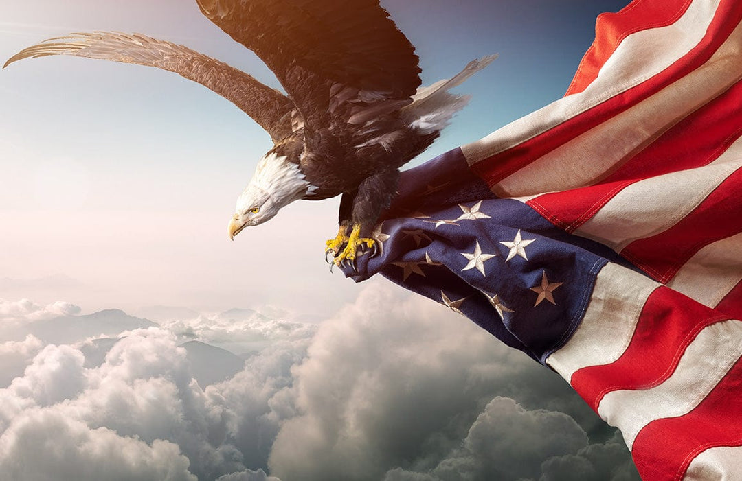 Majestic Bald Eagle Soaring with Flag Mural Wallpaper - Patriotic Sky Scene