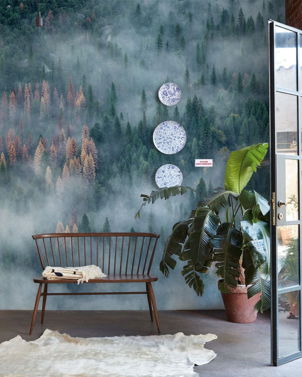 Foggy Forest Mural Wallpaper in living room with wooden bench, grey floor, and decorative plates.