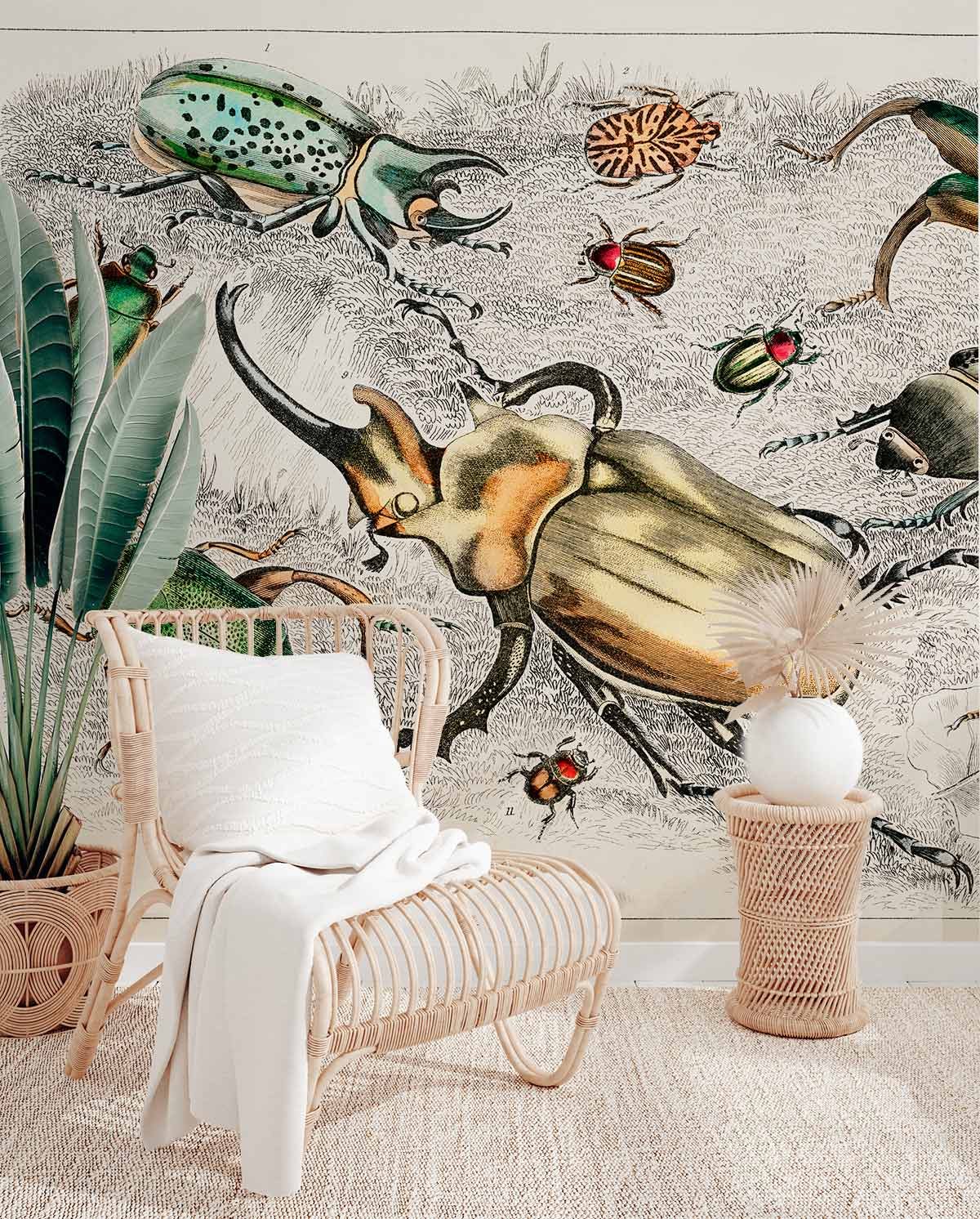 Vintage Insect Illustration Mural Wallpaper with Colourful Beetle ...