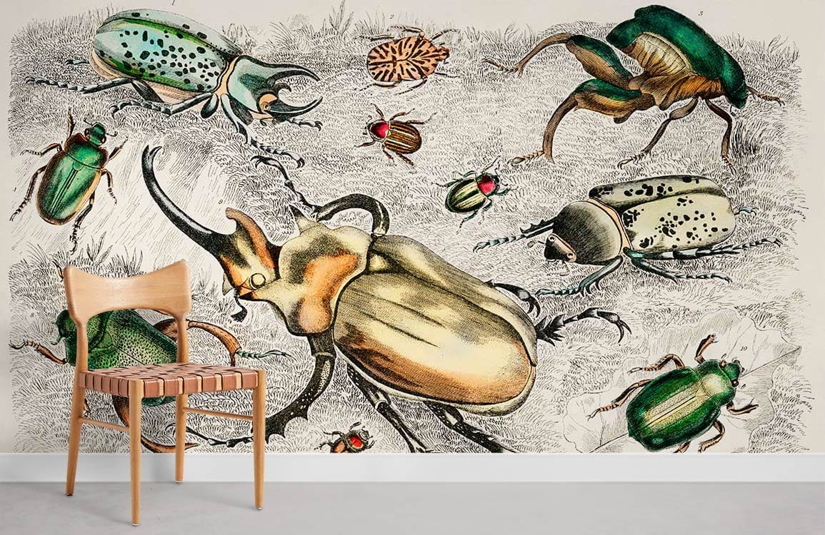 Vintage insect illustration mural wallpaper with colourful beetle pattern, featuring wooden chair, grey flooring.
