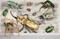 Various Beetles Wallpaper Mural